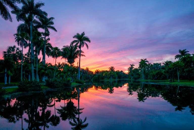 Turismo en Miami, naturaleza, Fairchild Tropical Botanic Garden
