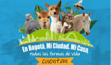 ¡Prográmese! Bogotá celebra la XII Semana de Bienestar Animal con más de 40 actividades