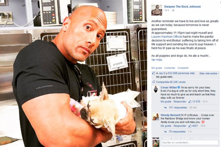 Emotivo mensaje de César Millán a ‘La Roca’ por muerte de mascota