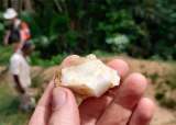 Encuentran la evidencia más antigua de humanos que vivieron en una selva tropical