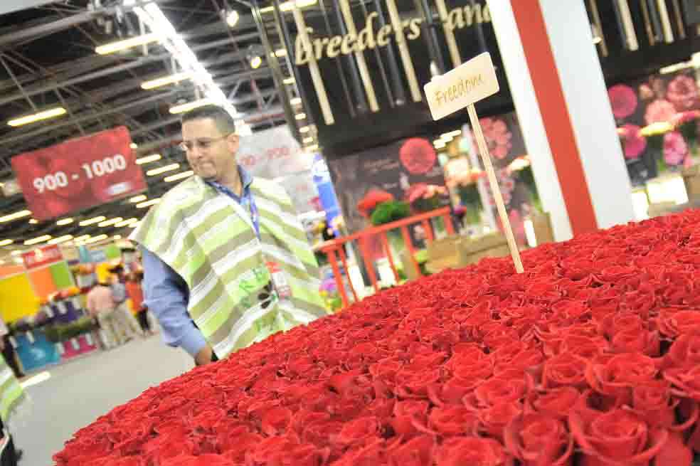 Las rosas y los claveles son los que más se comercializan en Estados Unidos. / David Campuzano