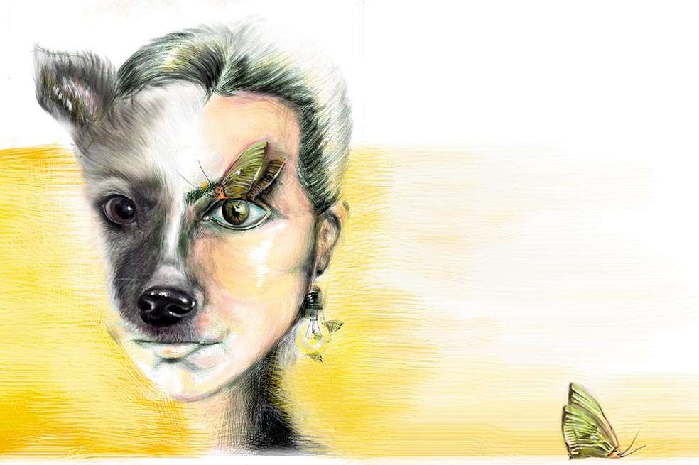 Ilustración: Heidy Amaya