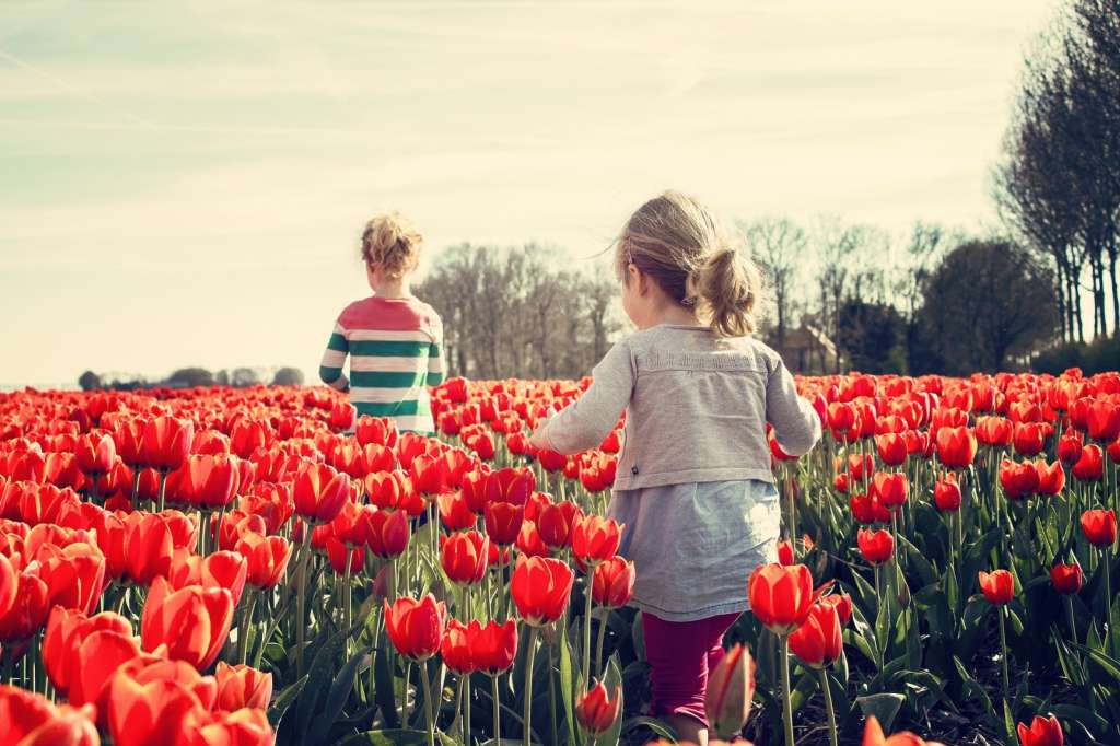 Hay varias especies que no se recomiendan mantener en lugares con niños.