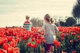 Estas son las plantas que debe mantener lejos de los niños