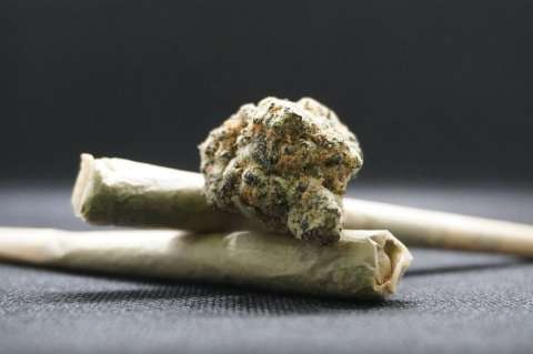 No romanticemos el consumo de marihuana: lo que le pasa al cerebro del fumador