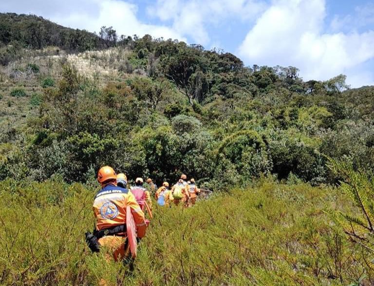 Alertan pérdida de cultivos y pastos por heladas en Nariño