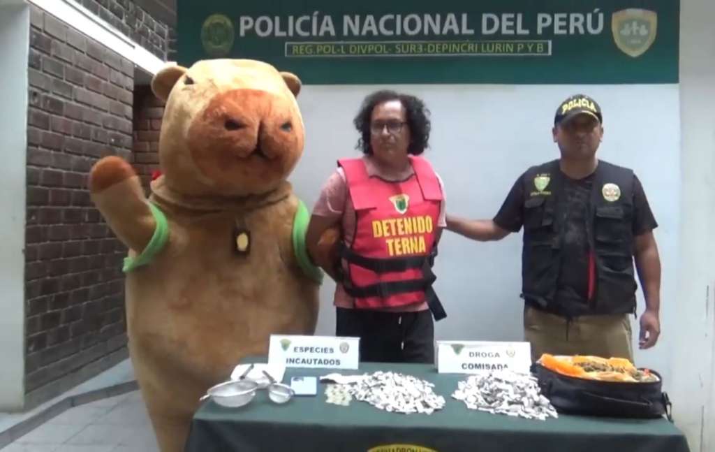 AME136. LIMA (PERÚ), 14/02/2025.- Captura de video cedido por la Policía Nacional de Perú del arresto de un microtraficante de droga. Un agente de la Policía Nacional de Perú (PNP) se disfrazó este viernes de capibara, un roedor muy de moda en las redes sociales, para sorprender a un microtraficante de droga en un distrito del sur de Lima, que le abrió la puerta pensando que se trataba de un regalo de San Valentín. EFE/ Policía Nacional de Perú /SOLO USO EDITORIAL/NO VENTAS/SOLO DISPONIBLE PARA ILUSTRAR LA NOTICIA QUE ACOMPAÑA (CRÉDITO OBLIGATORIO) MAXIMA CALIDAD DISPONIBLE