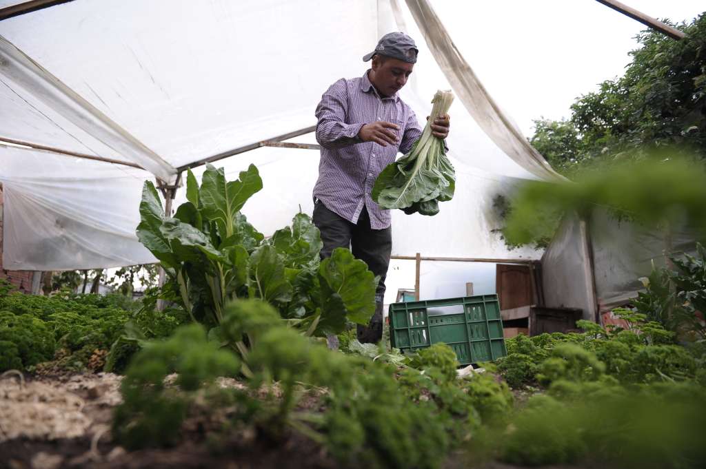 Integrante de la comunidad indígena muisca de Cota y de los Mercados Permanentes de Campesinos que se venden en la Plaza de los artesanos, en Bogotá.