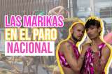 Paro nacional: la primera línea trans feminista marikona | La Disidencia