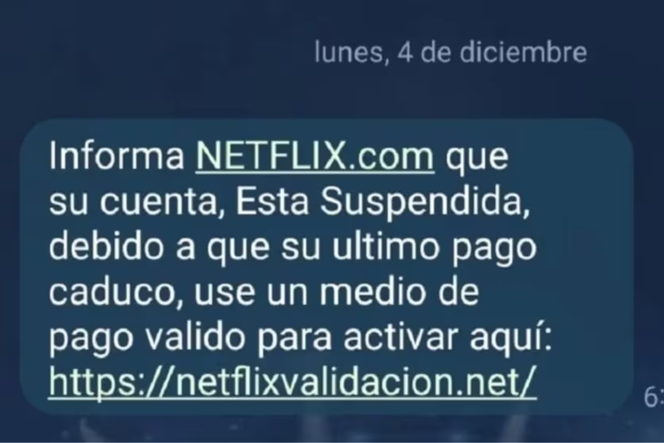 Captura de pantalla de uno de los mensajes fraudulentos sobre Netflix.