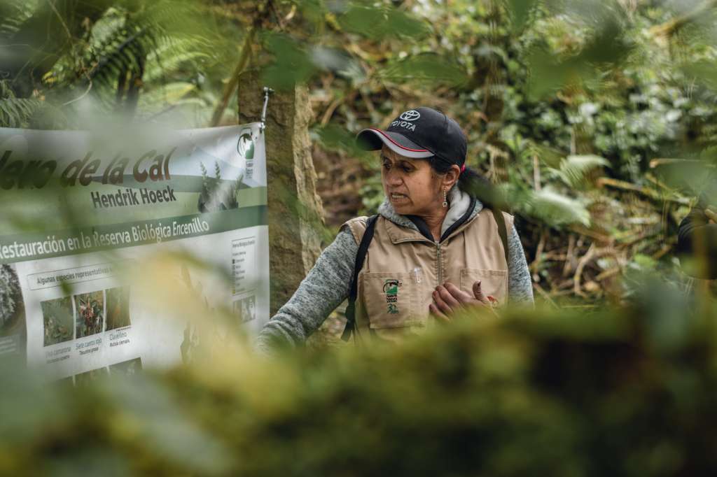 Ecofeminismo