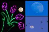 En fotos: Así fue la primera Superluna de 2021