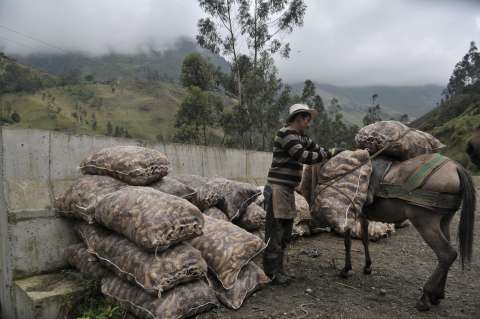 Estos fueron los alimentos que más subieron de precio en Colombia para abril de 2022