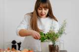 Plantas con aroma cítrico: cuáles elegir y dónde ponerlas en casa