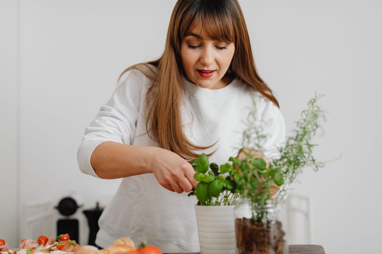 Plantas con aroma cítrico: cuáles elegir y dónde ponerlas en casa