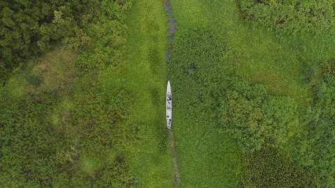Fotos: Isla Salamanca, el paraíso amenazado en desaparecer por la deforestación