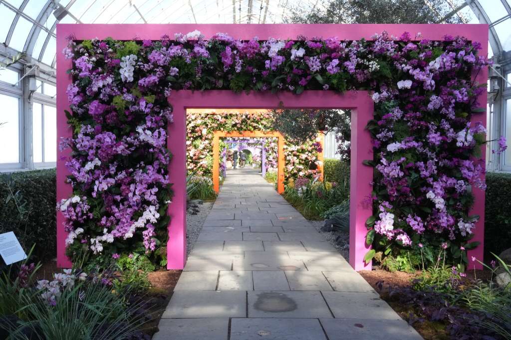 Las orquídeas estallan de una hilera de arcos de vivos colores con bordes afilados en la exposición The Orchid Show: Mexican Modernism, en el Jardín Botánico de Nueva York.