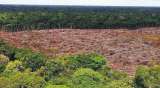 La Amazonía ahora emite más carbono del que retiene