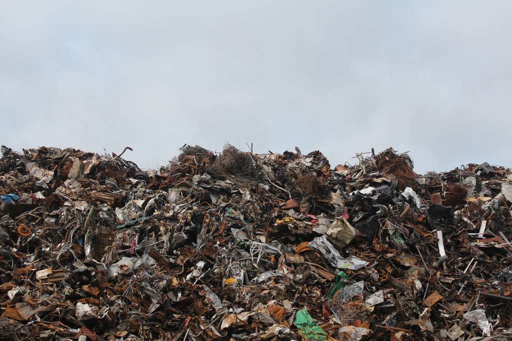 Basura