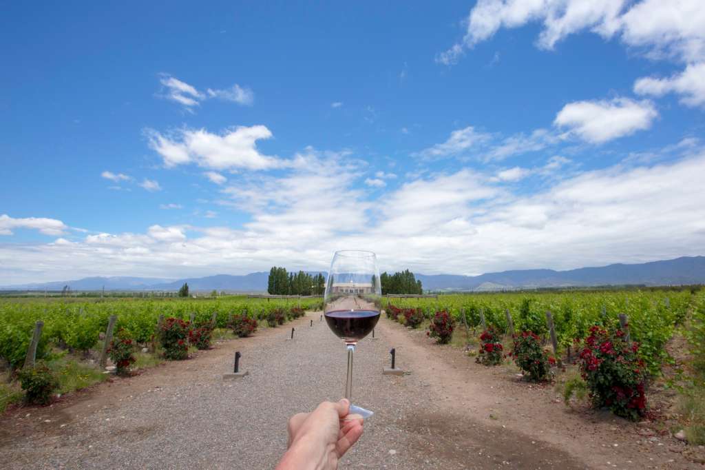 En Mendoza se puede degustar el mejor Malbec del mundo.
