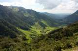 El Eje Cafetero, un clásico del turismo colombiano