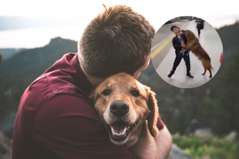 Cinco noticias positivas para los animales en 2023