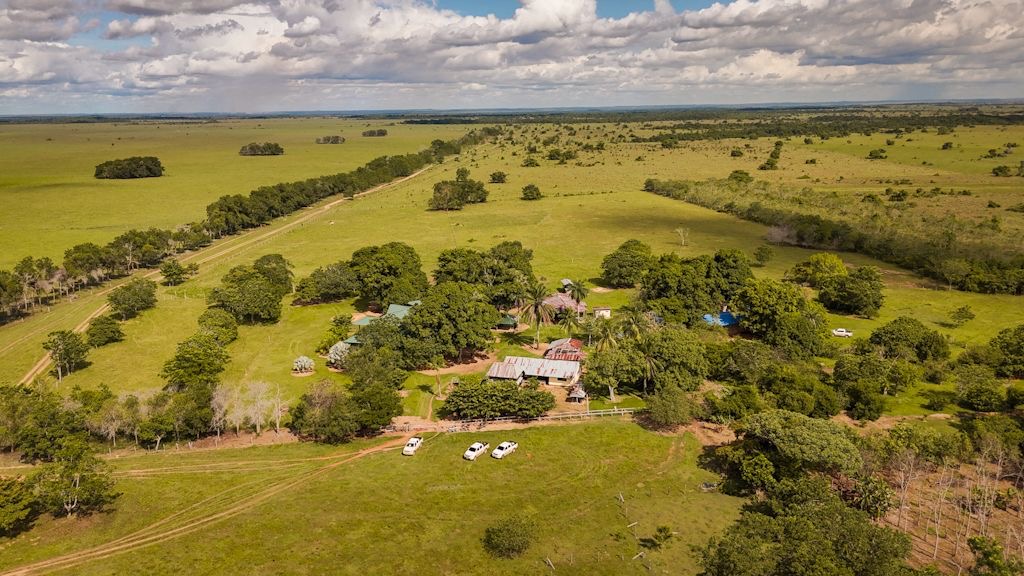 Finca Buenavista