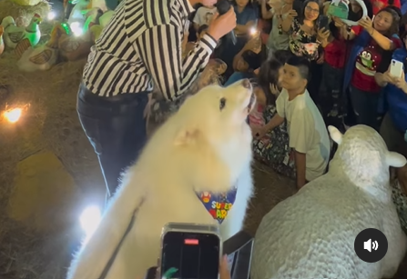 Mientras el cantante hacía su show el perro ladraba.