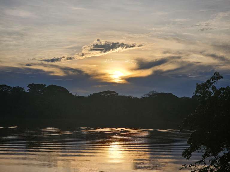 Atarcer llanero