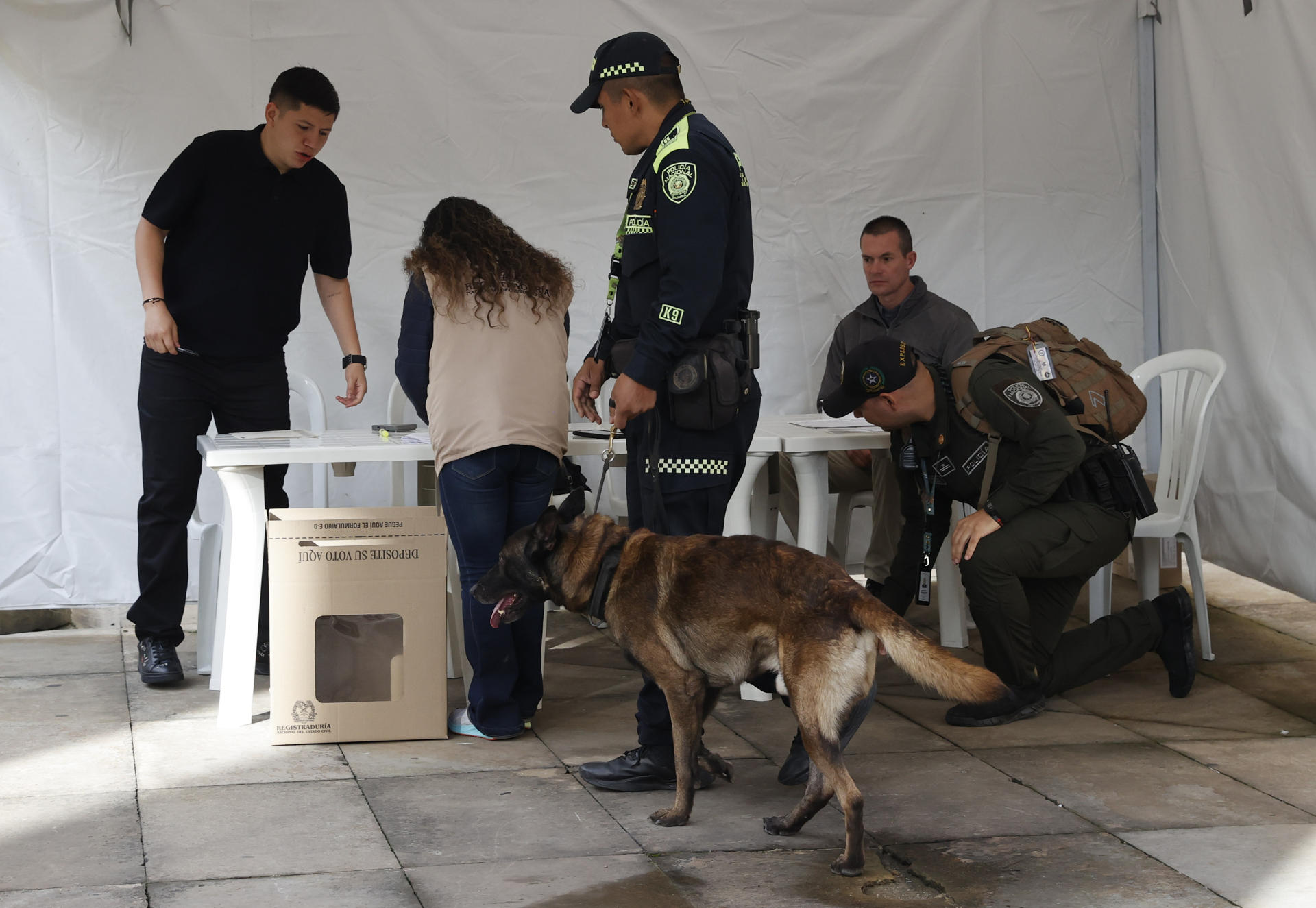 .BOGOTÁ (COLOMBIA), 31/05/2026.- Policías inspeccionan el lugar donde vota el presidente de Colombia, Gustavo Petro este domingo en Bogotá (Colombia). Las elecciones presidenciales de Colombia arrancaron con la apertura de los colegios electorales para más de 41 millones de ciudadanos que están habilitados para votar en primera vuelta por el sucesor del actual mandatario, Gustavo Petro. EFE/Mauricio Dueñas Castañeda