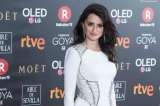 Penélope Cruz y Antonio Banderas rodarán juntos por primera vez como protagonistas