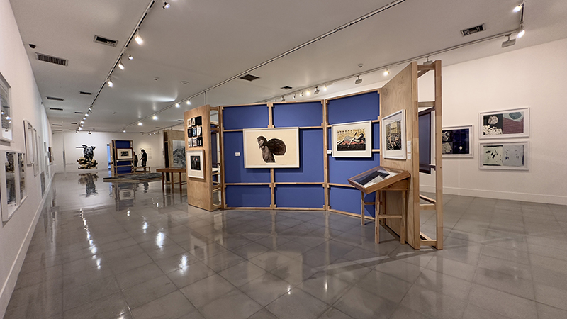 Vista general de la exposición “La línea introspectiva. Hacia una historia del grabado en Antioquia”, 2024.