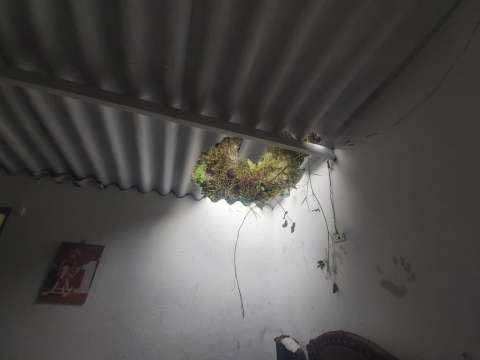 Niño murió tras caída de roca sobre su vivienda en Donmatías, Antioquia
