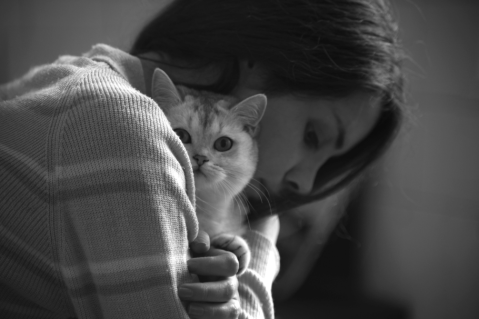 ¿Cómo saber si mi gato sufre de ansiedad?