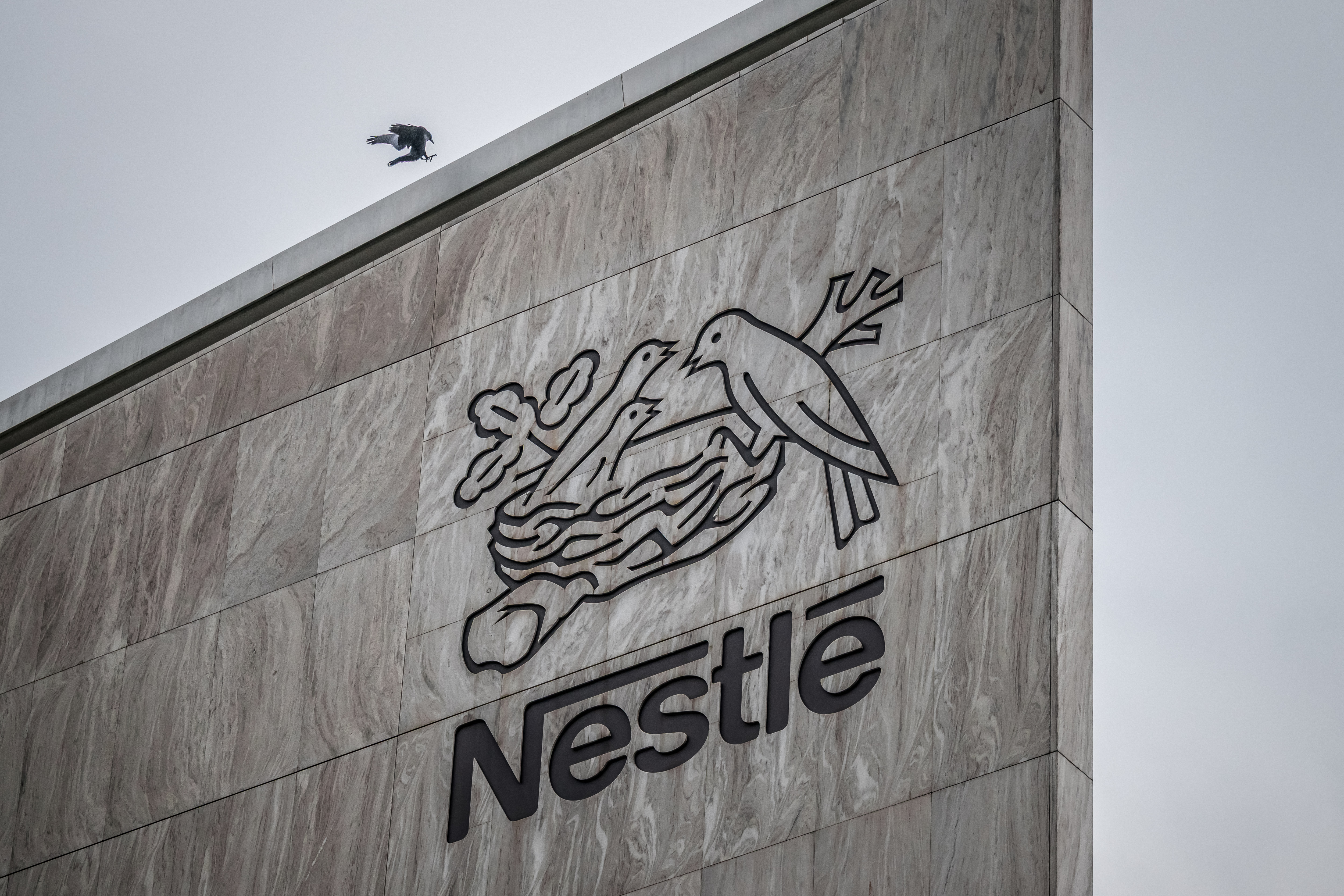 This photograph shows a bird of the crow family flying next to the logo of Swiss food giant Nestle on the facade of its headquarters ahead of the company’s third-quarter results announcement, in Vevey, western Switzerland, on October 14, 2025. (Photo by Fabrice COFFRINI / AFP)