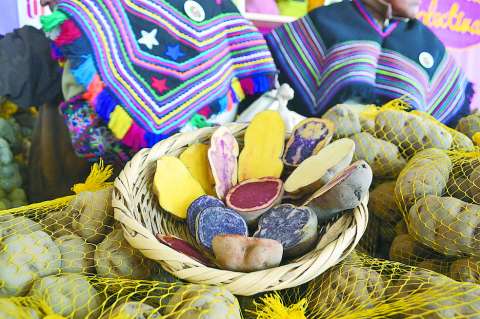 El proyecto de científicos peruanos para cultivar papas en Marte
