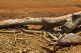 Daños por clima fueron más fuertes este año