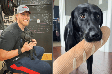 Koda: la perrita que ayuda a medallista olímpico a alcanzar un oro en París 2024