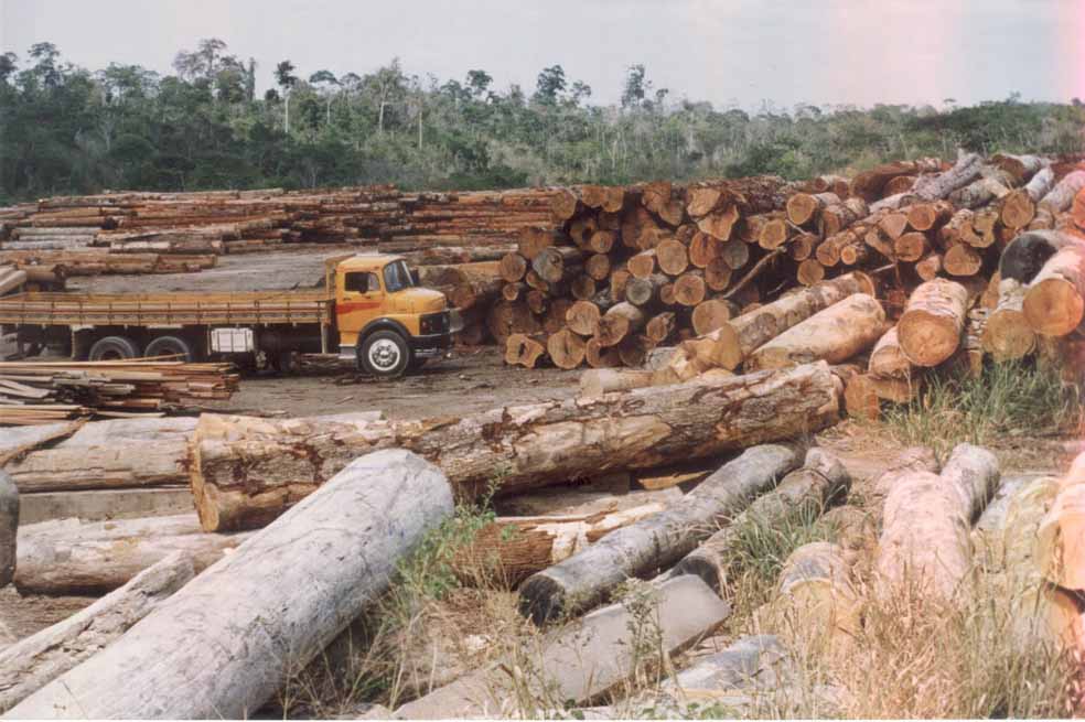 Archivo 
