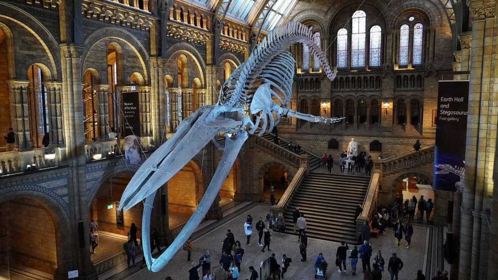 El Museo de Historia Natural de Londres recibe más de cinco millones de visitantes por año.