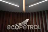 Ecopetrol destaca acciones con comunidades étnicas luego de su exclusión del Fondo Noruego