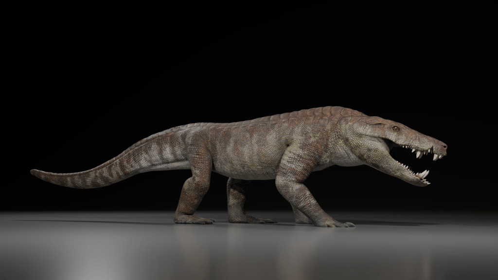 Kostensuchus pertenece a una familia conocida como los peirosáuridos que vivió en América del Sur y África durante el Cretácico.