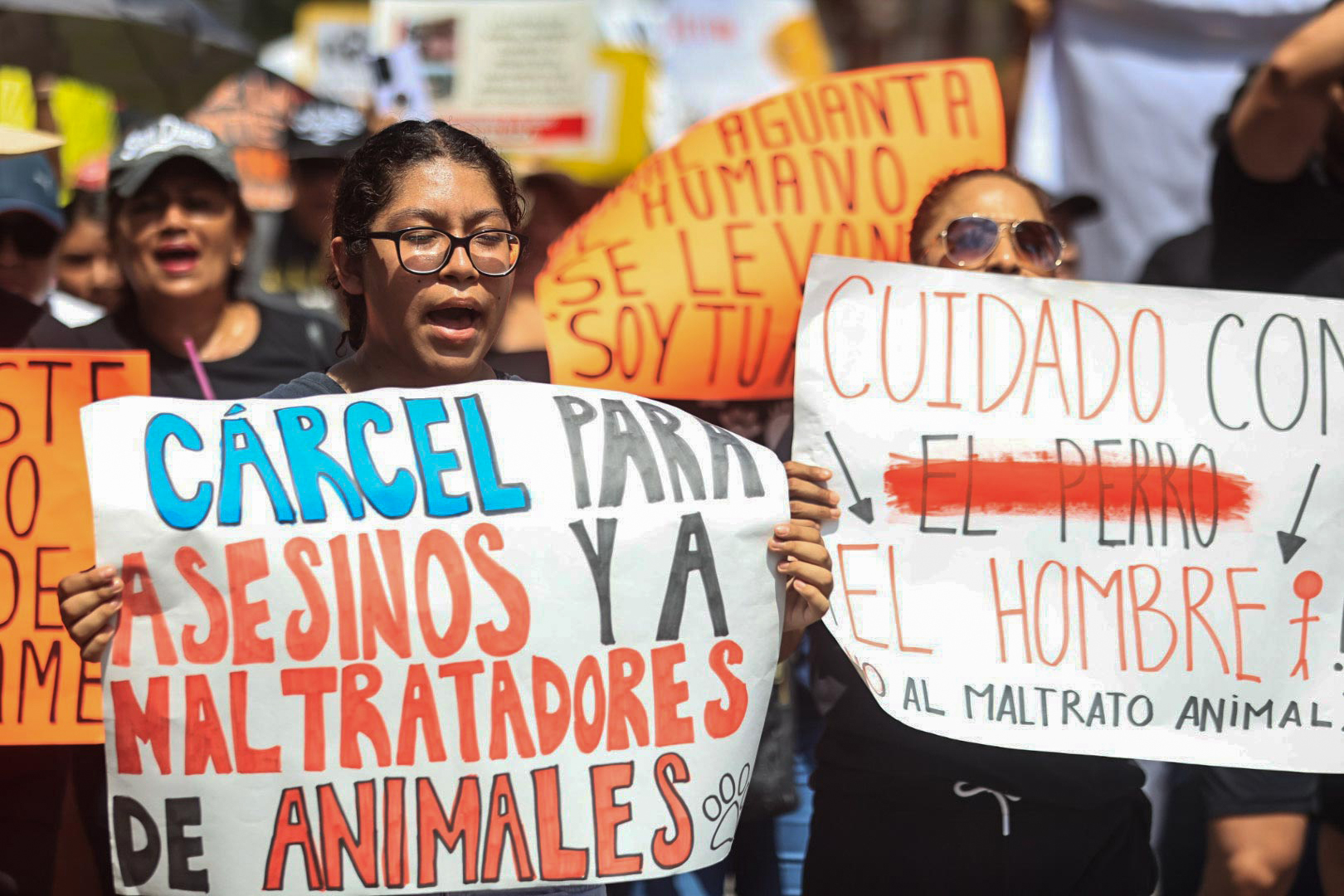 MEX8647. ACAPULCO (MÉXICO), 25/06/2023.- Personas convocadas por organizaciones defensoras de los derechos de los animales protestan hoy, en el balneario de Acapulco, en el estado de Guerrero (México). Miles de personas se manifestaron este domingo en calles de la Ciudad de México y otras ciudades para exigir un alto a la violencia contra los animales ante los cada vez más frecuentes casos de maltrato y crueldad que se han reportado en el país, además de penas más severas contra quien cometa estos delitos. EFE/David Guzmán