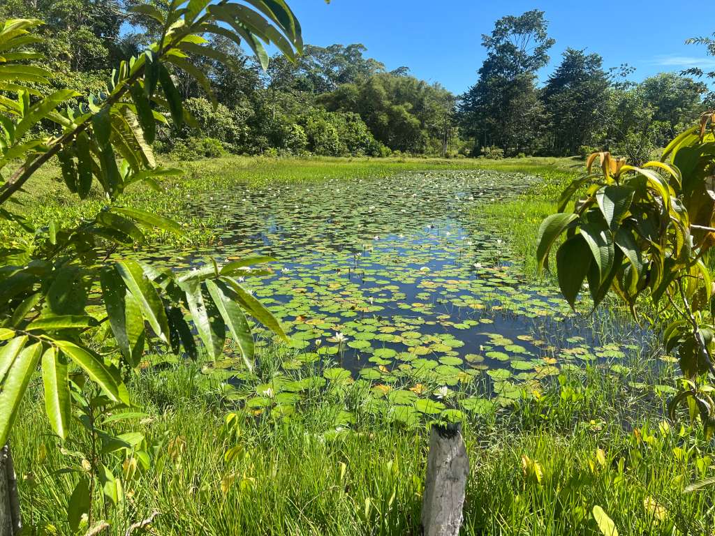 La zona de reserva campesina, reconocida desde diciembre del 2000, cuenta con 22.000 hectáreas.