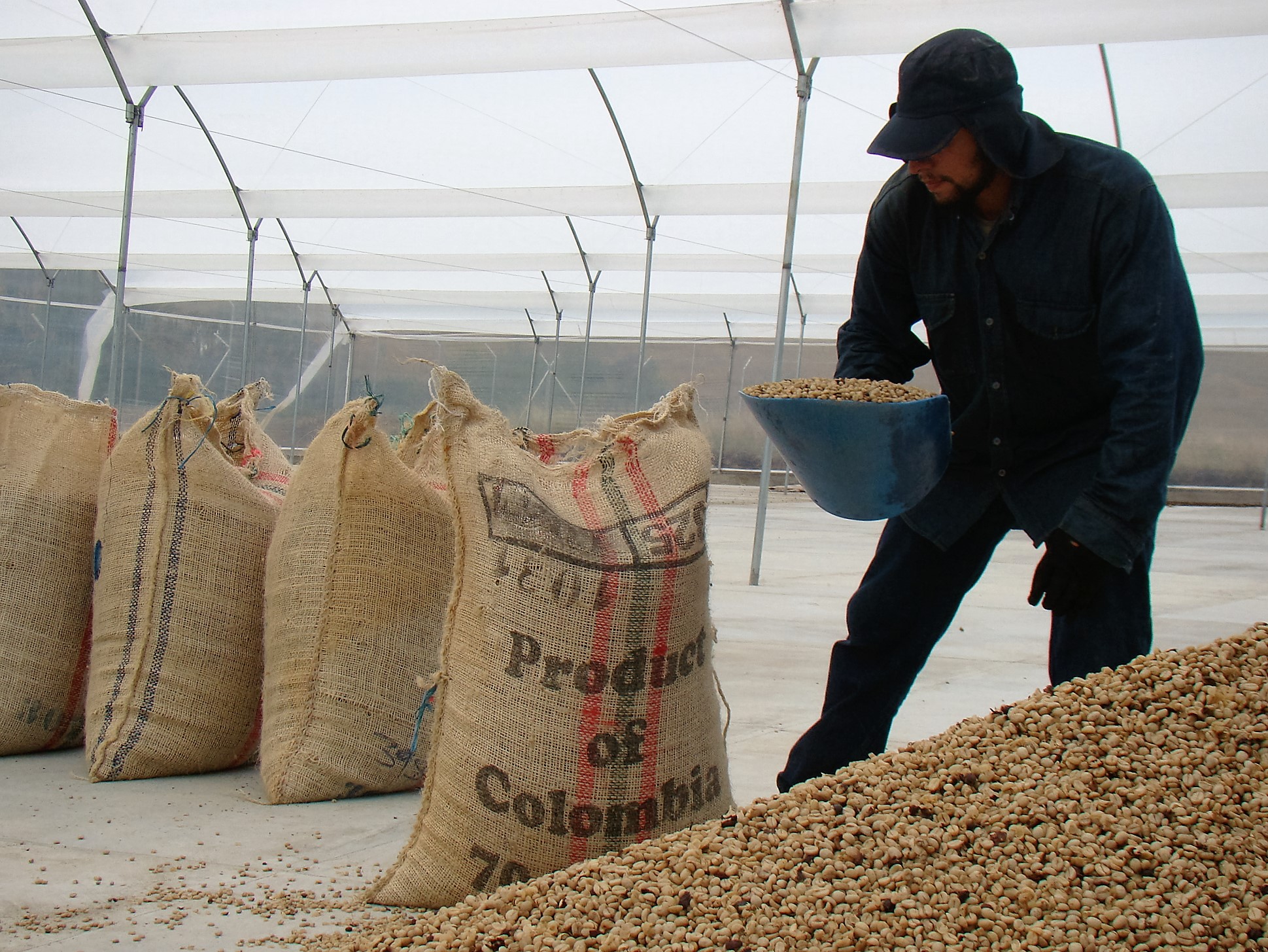 La central de beneficio Gigante Café, por ejemplo, ha recibido US$460.000 de inversión.CortesíaEn su entrevista con El Espectador, Novogratz resaltó el talento e ingenio de los emprendedores colombianos y aseguró que mucho de su conocimiento es tan valioso como para llevarlo y aplicarlo en otros países.