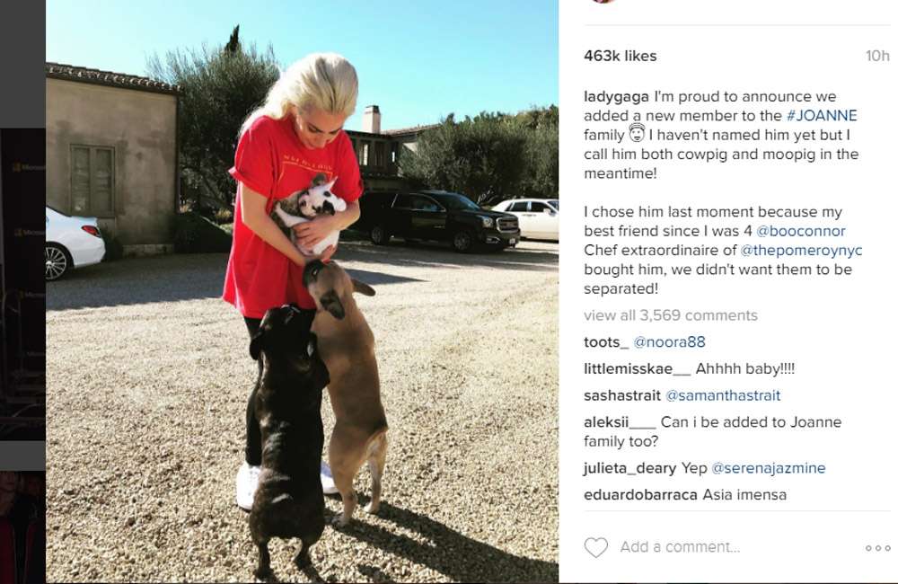 Lady Gaga se encuentra en estos momentos en Roma rodando la cinta “Gucci” a las órdenes de Ridley Scott.