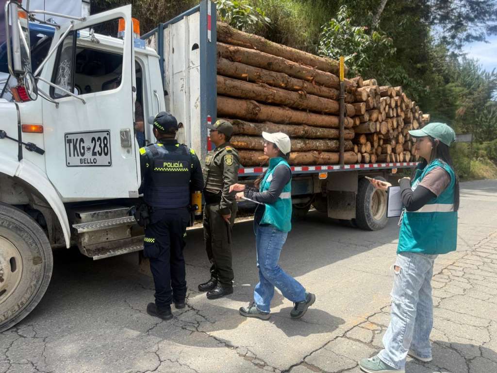 La jornada nacional de control se realizó en 125 puntos de verificación en las vías del país y en 179 empresas forestales. /Minambiente.