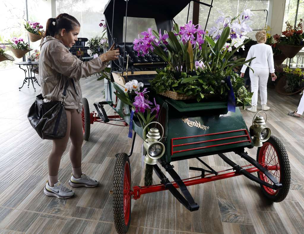 MED109 -MEDELLÍN (COLOMBIA), 29/04/2024.- Una mujer toma una fotografía de un carro antiguo decorado con orquídeas durante la exposición "Orquídeas y autos antiguos", el 25 de abril del 2024, en Medellín (Colombia). En medio de los jardines y las llamativas torres del Museo El Castillo en Medellín, habitan por estos días unas 400 variedades de orquídeas y más de 40 autos antiguos en una exposición que reúne dos de las principales pasiones de los habitantes de esta ciudad colombiana. EFE/Luis Eduardo Noriega Arboleda