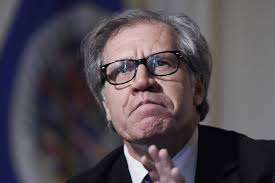 Luis Almagro, secretario general de la OEA. / AFP