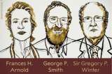 El Nobel de Química premia trabajos sobre proteínas